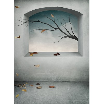 Ρόλερ - Roller Μερικής Συσκότισης ψηφιακής εκτύπωσης 67-SR