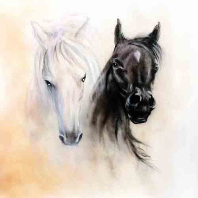 Σύστημα σκίασης ρόλερ  ART 285