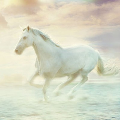 Σύστημα σκίασης ρόλερ   ART 295