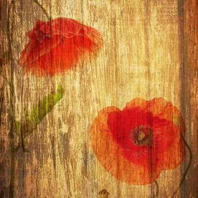 Σύστημα σκίασης ρόλερ   ART 345