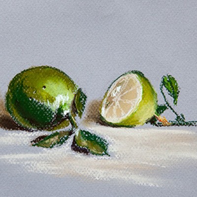 Ρόλερ - Roller Μερικής Συσκότισης ψηφιακής εκτύπωσης ART 420