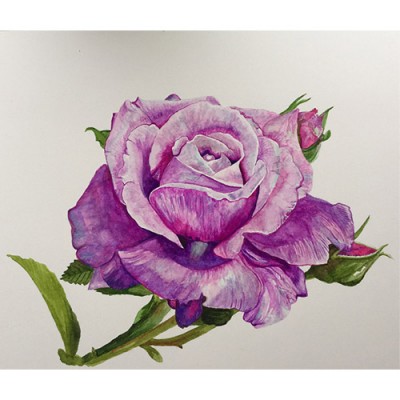 Σύστημα σκίασης ρόλερ 1072-CR