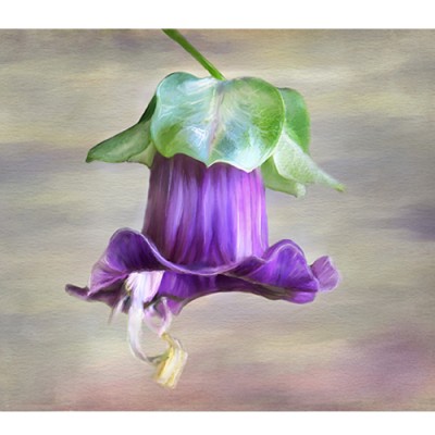 Σύστημα σκίασης ρόλερ 1073-CR