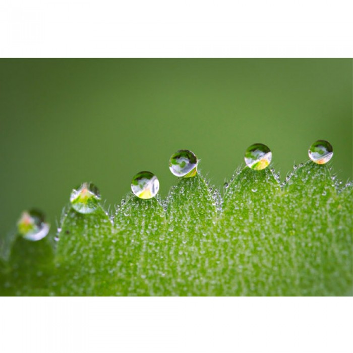 Σύστημα σκίασης ρόλερ 142-CR