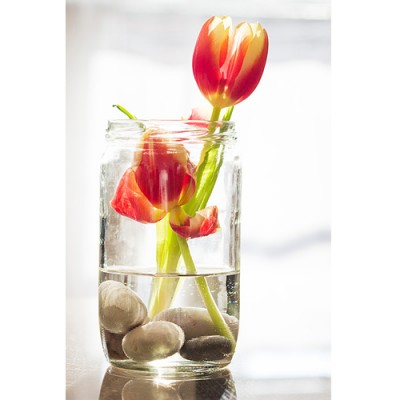 Σύστημα σκίασης ρόλερ 143-CR