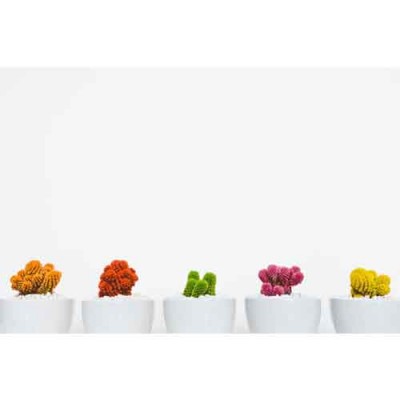 Σύστημα σκίασης ρόλερ 146-CR