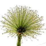 Σύστημα σκίασης ρόλερ 147-CR