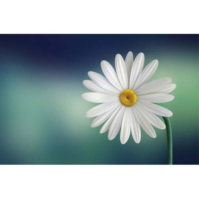 Σύστημα σκίασης ρόλερ 148-CR