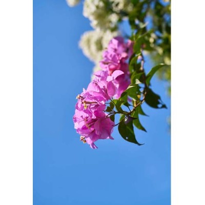 Σύστημα σκίασης ρόλερ 157-CR