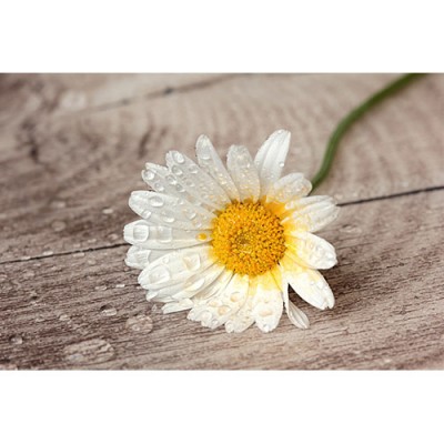 Σύστημα σκίασης ρόλερ 161-CR