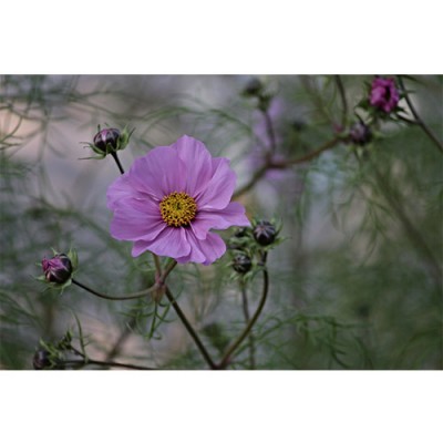 Σύστημα σκίασης ρόλερ 164-CR