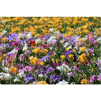 Σύστημα σκίασης ρόλερ 165-CR