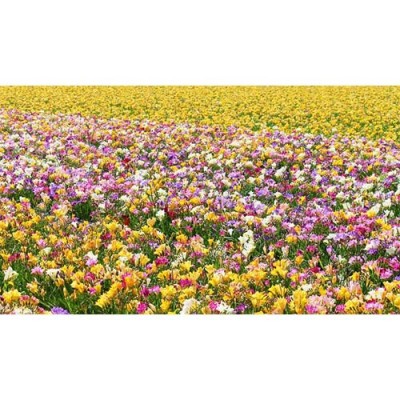 Σύστημα σκίασης ρόλερ 166-CR