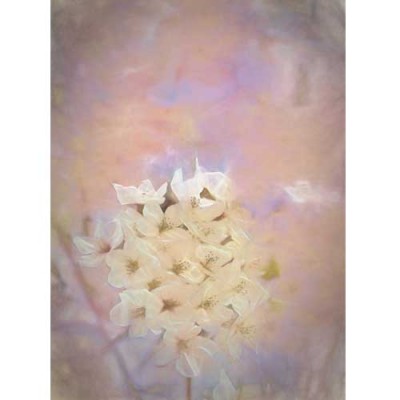 Σύστημα σκίασης ρόλερ 694-CR