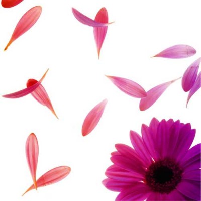 Σύστημα σκίασης ρόλερ 696-CR