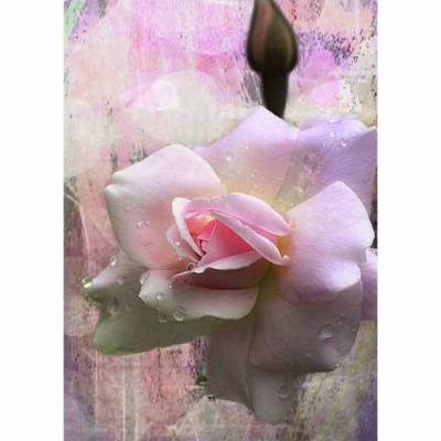 Σύστημα σκίασης ρόλερ 702-CR