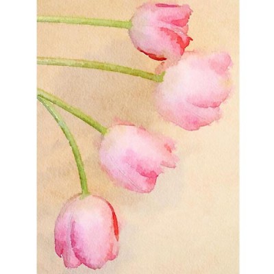 Σύστημα σκίασης ρόλερ 704-CR