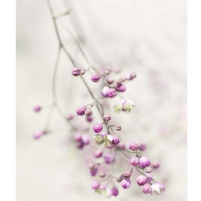 Σύστημα σκίασης ρόλερ 706-CR