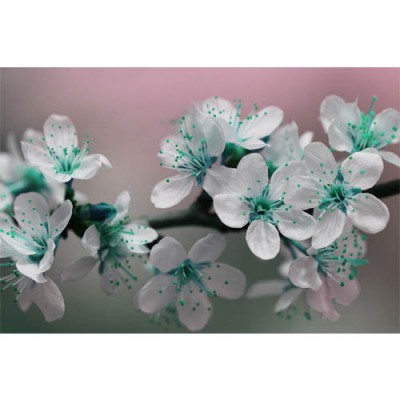 Σύστημα σκίασης ρόλερ 712-CR