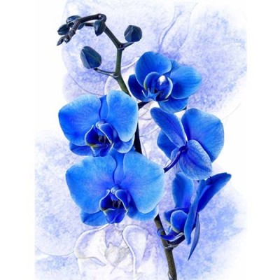 Σύστημα σκίασης ρόλερ 713-CR