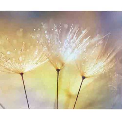 Σύστημα σκίασης ρόλερ FLR-Β380