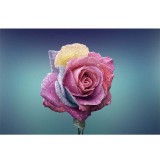 Σύστημα σκίασης ρόλερ 174-CR