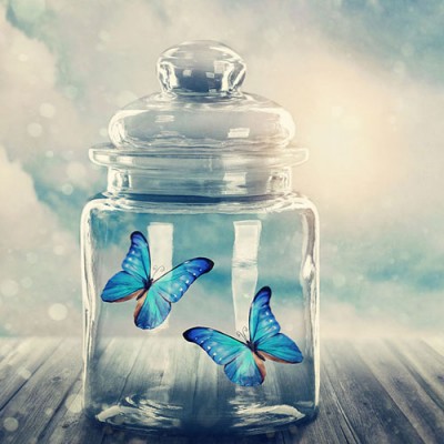 Ρόλερ - Roller Μερικής Συσκότισης ψηφιακής εκτύπωσης 211-SR