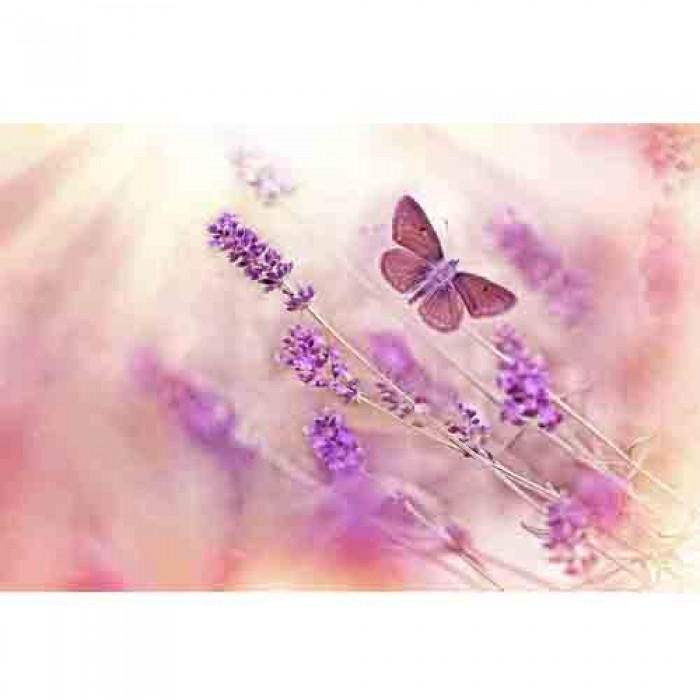 Σύστημα σκίασης ρόλερ  LAND-192