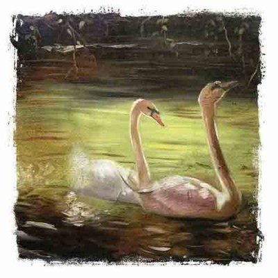 Σύστημα σκίασης ρόλερ  LAND-76