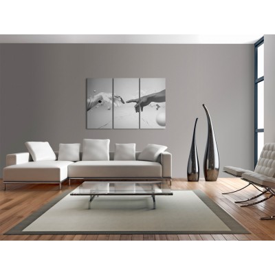 Πίνακας ζε καμβά - Touch in black-and-white