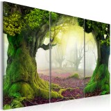 Πίνακας ζε καμβά - Mysterious forest - triptych