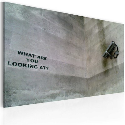 Πίνακας ζε καμβά - What are you looking at? (Banksy)