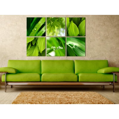 Πίνακας ζε καμβά - Fresh green leaves