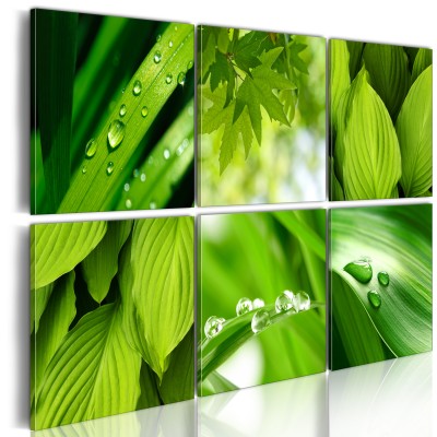 Πίνακας ζε καμβά - Fresh green leaves