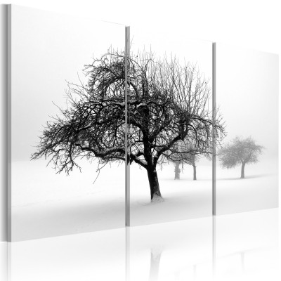 Πίνακας ζε καμβά - Trees submerged in white