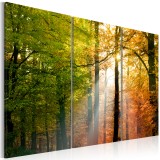 Πίνακας ζε καμβά - A calm autumn forest