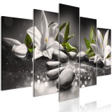 Πίνακας ζε καμβά - Lilies and Stones (5 Parts) Wide Grey
