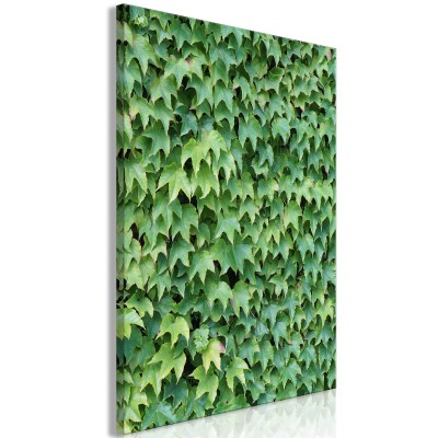 Πίνακας ζε καμβά - Thick Ivy (1 Part) Vertical