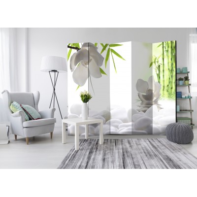 Διαχωριστικό δωματίου - Lake of Silence II