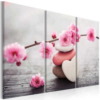 Πίνακας ζε καμβά - Zen: Cherry Blossoms II