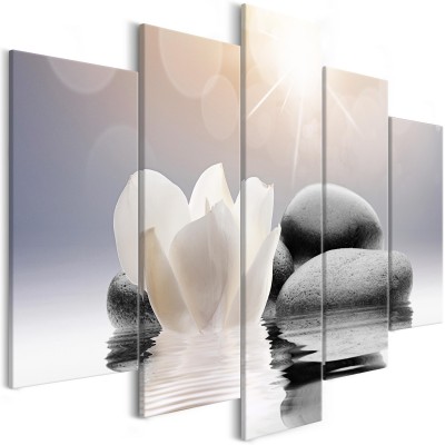 Πίνακας ζε καμβά - Natural Lightness (5 Parts) Wide