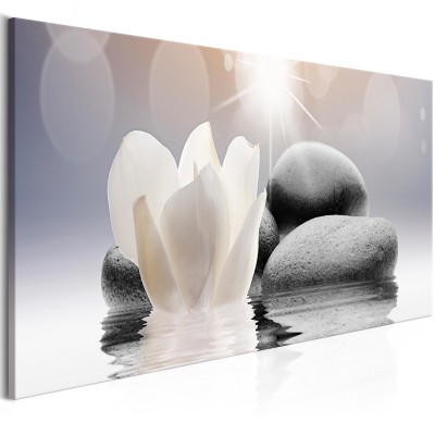 Πίνακας ζε καμβά - Pebbles in Water (1 Part) Narrow