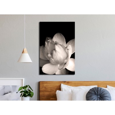 Πίνακας ζε καμβά - Delicacy of Petals in Nature (1-part) - Flower in Black and White