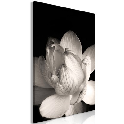 Πίνακας ζε καμβά - Delicacy of Petals in Nature (1-part) - Flower in Black and White