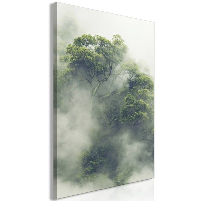 Πίνακας ζε καμβά - Foggy Amazon (1 Part) Vertical