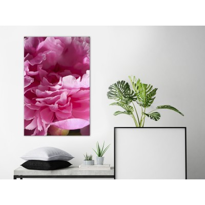 Πίνακας ζε καμβά - Blossom of Beauty (1-part) - Pink Peony Flower Embraced by Nature