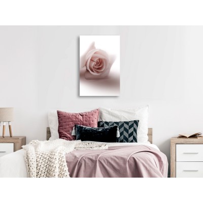 Πίνακας ζε καμβά - Floral Glamour Glow (1-part) - Delicate and Pastel Pink Rose