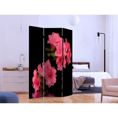Διαχωριστικό δωματίου - Azalea in Black