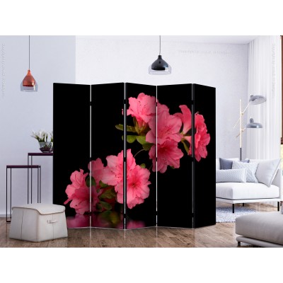 Διαχωριστικό δωματίου - Azalea in Black II