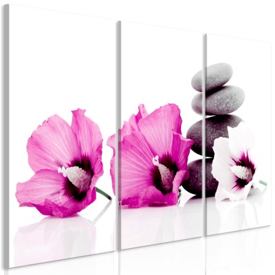 Πίνακας ζε καμβά - Calm Mallow (3 Parts) Pink